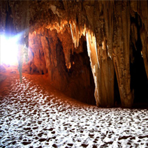 Western Sahara Vacation